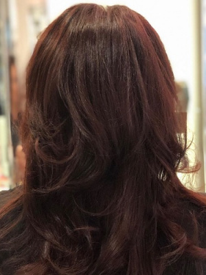 Redken-EQ-Hair-Gloss-gives-shine-with-no-visible-growth-line-hertford-hair-salon-hertford